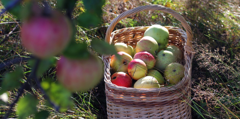Początek wydarzenia o godzinie 15:00 fot. pixabay