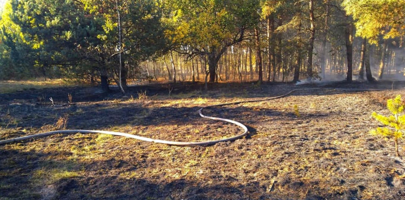 Na miejscu działania prowadziły cztery zastępy straży pożarnej fot. OSP Wtelno
