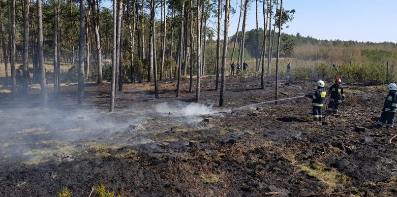To był pracowity dzień dla strażaków fot. OSP KSRG Koronowo