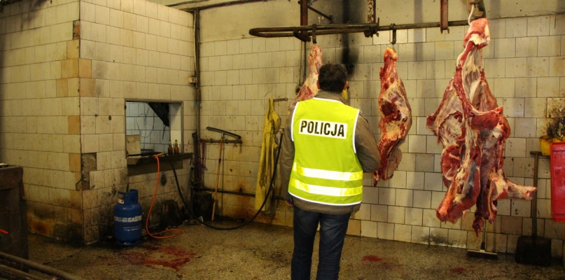 Nielegalny ubój zwierząt i sprzedaż mięsa bez zezwolenia w Koronowie (fot. KWP w Bydgoszczy)