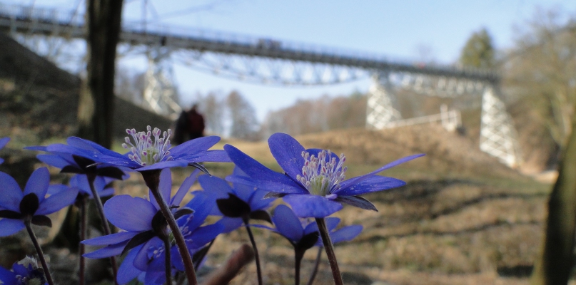 Zdjęcie ukazujące most kolejki wąskotorowej w wiosennej aurze zdobyło uznanie jury fot. Sławomir Śpica