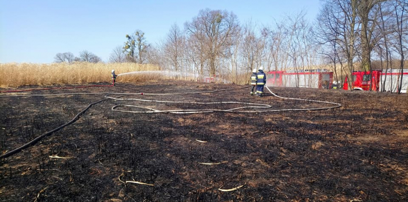 Strażacy szybko opanowali ogień fot. OSP Wierzchucin Królewski