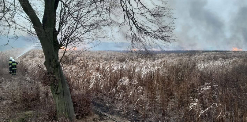 Jak ocenił właściciel doszczętnie spłonęło ponad 20 ha trawy fot. OSP KSRG Mąkowarsko