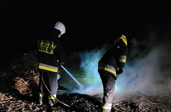 Wypalali gałęzie nieopodal drogi krajowej w miejscowości Tryszczyn-597