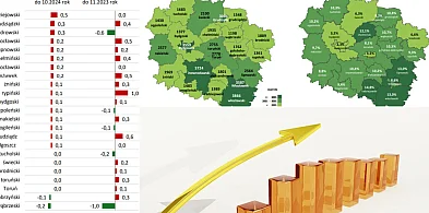 Rynek pracy w powiecie bydgoskim: najniższe bezrobocie w regionie w listopadzie -12253