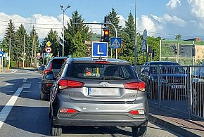 Egzamin na prawo jazdy będzie inny. Od 1 lipca nowe zasady-13306