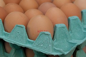 Salmonella na jajach znanej marki. Nie jedz, jeśli masz je w lodówce!-13355