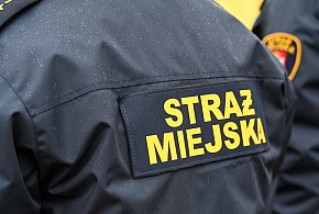 Zapuka strażnik, zapłacisz karę. Ruszyły kontrole w całej Polsce-13996