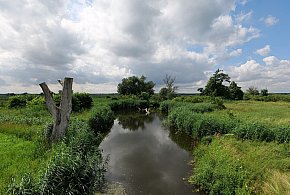 Co dalej z nowym parkiem narodowym? Minister klimatu zdradza plan po wecie-14149