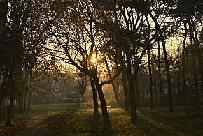 Nadchodzi najkrótszy dzień w 2025 roku. Sprawdź, kiedy przypadnie-14397