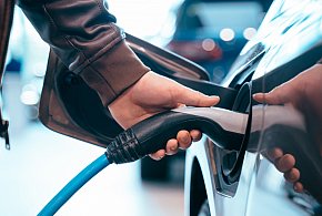 Coraz częściej dochodzi do takich kradzieży. Powody zaskakują-14558