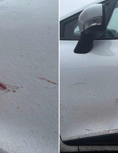 Samociążek. Uderzył w auto i uciekł. Internautka szuka sprawcy-14431