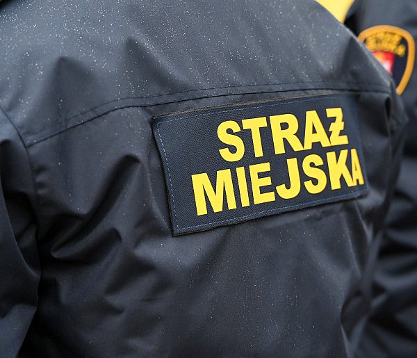 Zapuka strażnik, zapłacisz karę. Ruszyły kontrole w całej Polsce-13996