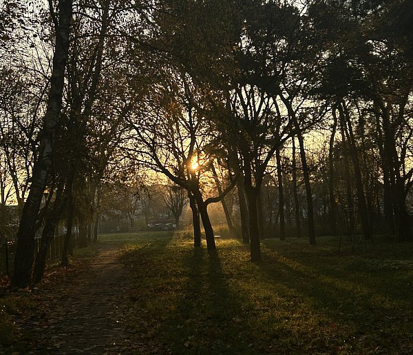 Nadchodzi najkrótszy dzień w 2025 roku. Sprawdź, kiedy przypadnie-14397