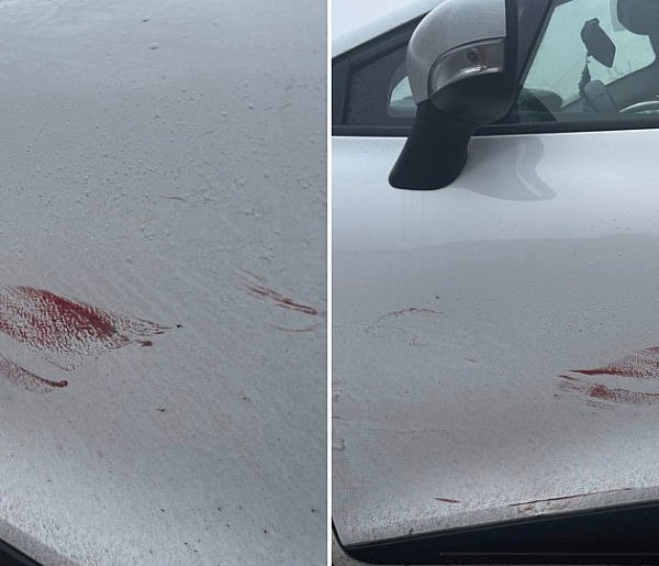 Samociążek. Uderzył w auto i uciekł. Internautka szuka sprawcy-14431