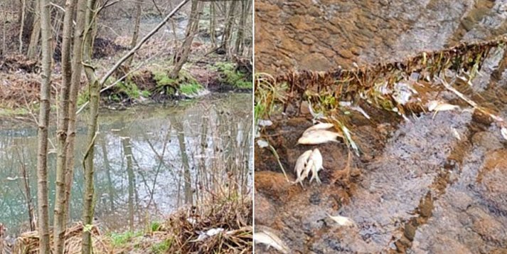 W rejonie Zapory Wodnej w Pieczyskach